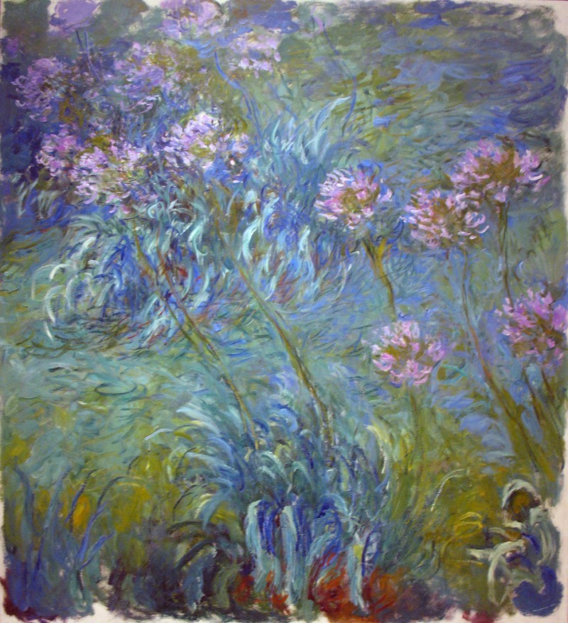 Bức tranh Agapanthus.jpg
