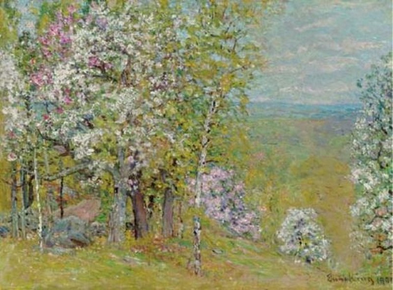 Bức tranh Spring in US.jpg