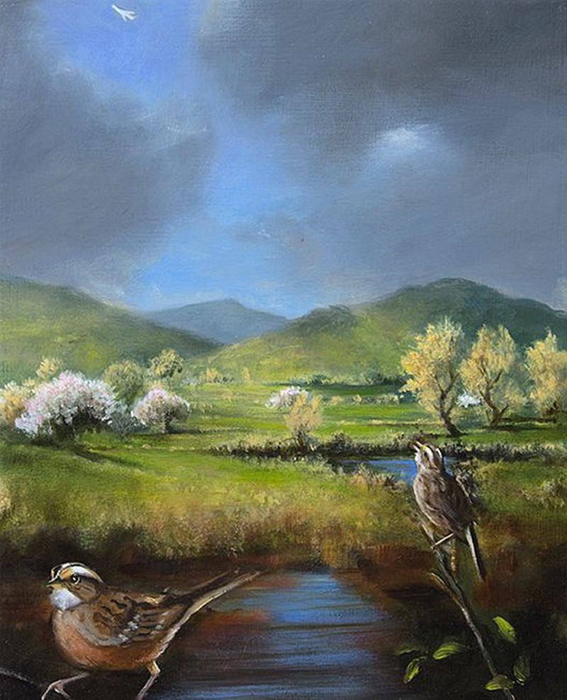 Bức tranh White Throated Sparrow.jpg