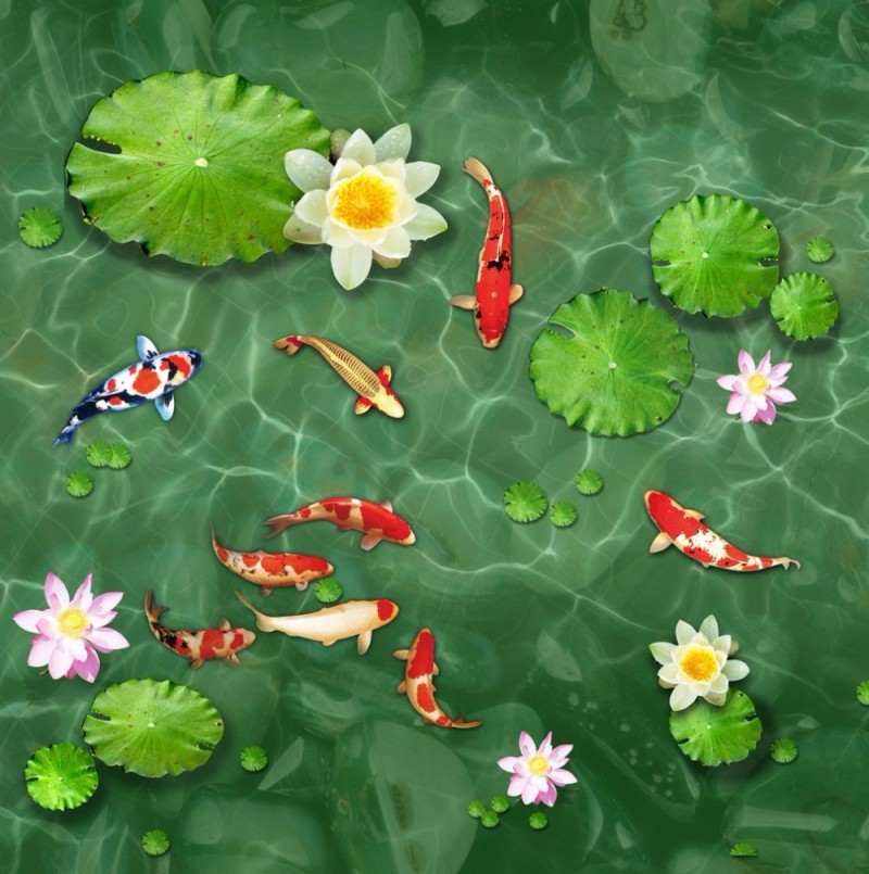 Tranh 3D cá chép ao sen.jpg