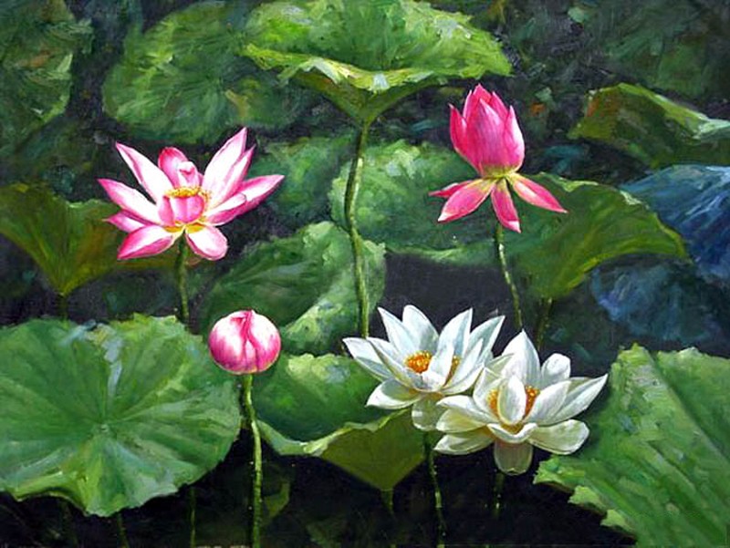 tranh-ao-sen-ho-sen-nghe-thuat (1).jpg