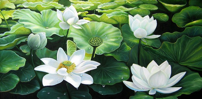 tranh-ao-sen-ho-sen-son-dau (1).jpg