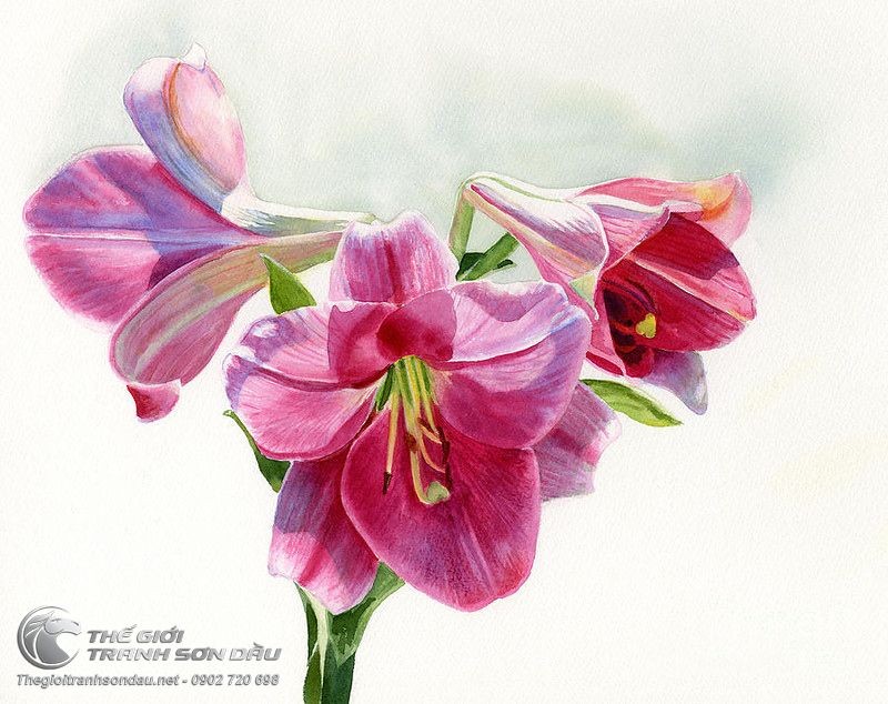 Tranh Ba Đóa Hoa Lan Tím Nở Rộ.jpg
