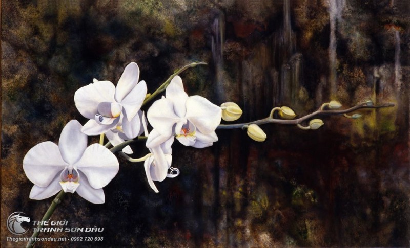 Tranh Ban Đóa Hoa Lan Trắng.jpg