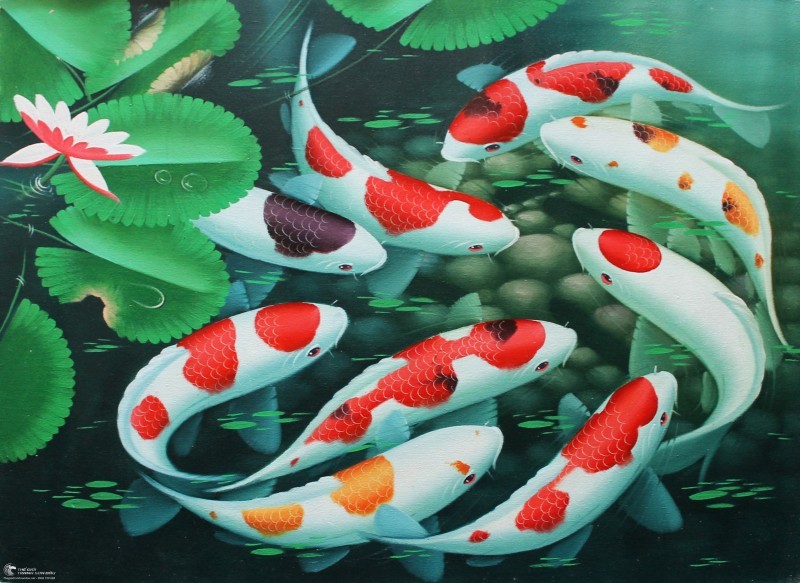 Tranh Cá Chép Bơi Quay Khóm Hoa Súng.jpg