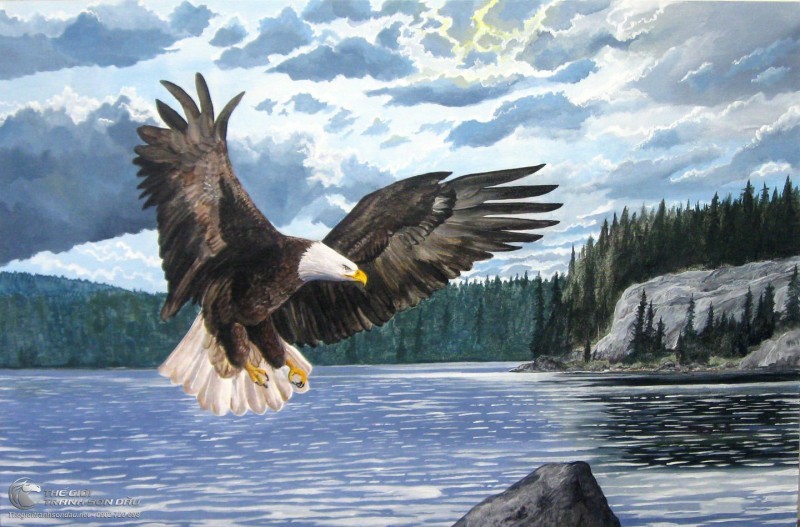 Tranh Đại Bàng Cây Cối Và Hồ Nước.jpg