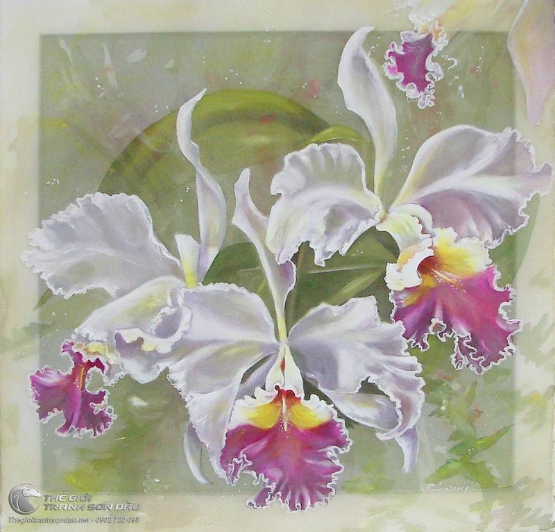 Tranh Hoa Lan Màu Trắng Đua Nở.jpg