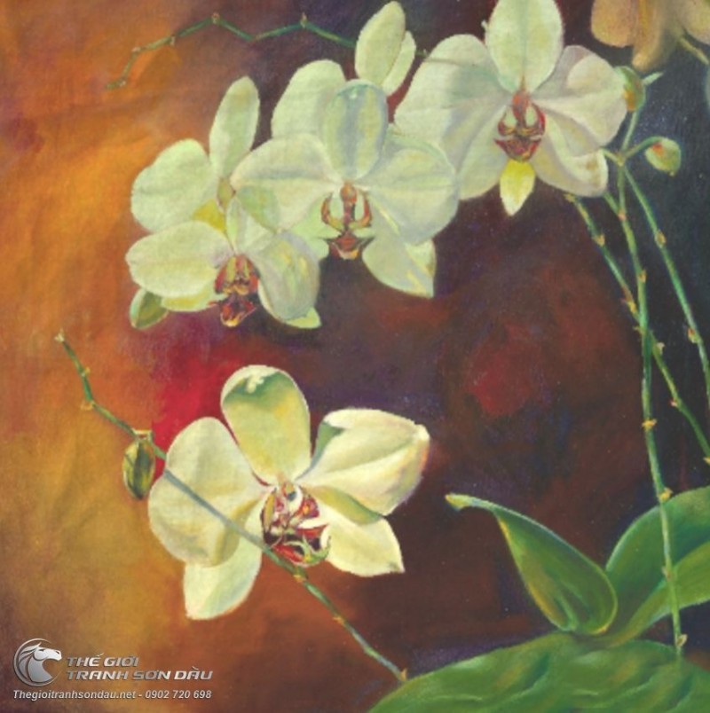 Tranh Hoa Lan Màu Trắng Khoe Sắc.jpg