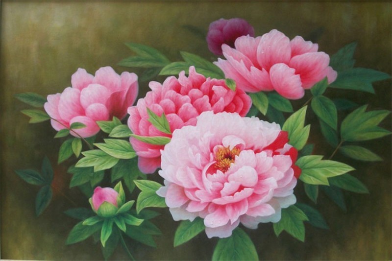 Tranh Hoa Mẫu Đơn Đẹp Màu Hồng Trắng.jpg