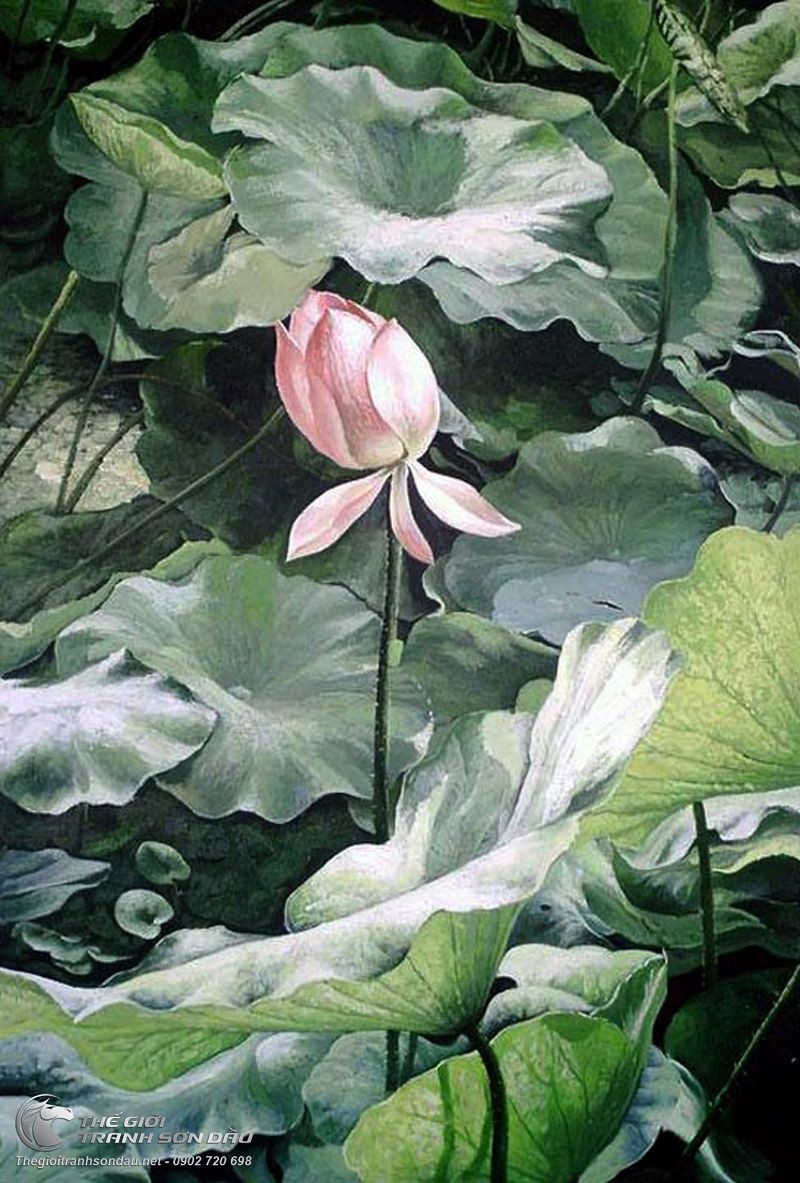 Tranh Hoa Sen Hồng Lá Sen Xanh.jpg
