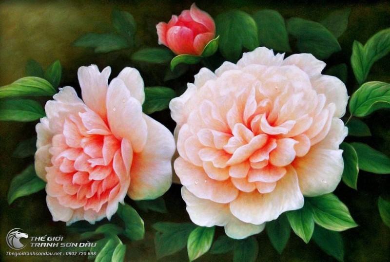 Tranh Tam Đóa Hoa Mẫu Đơn.jpg