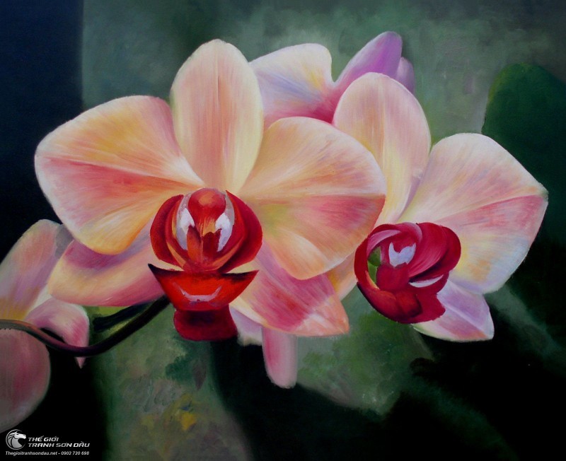 Tranh Tứ Đóa Hoa Lan Màu Hồng.jpg