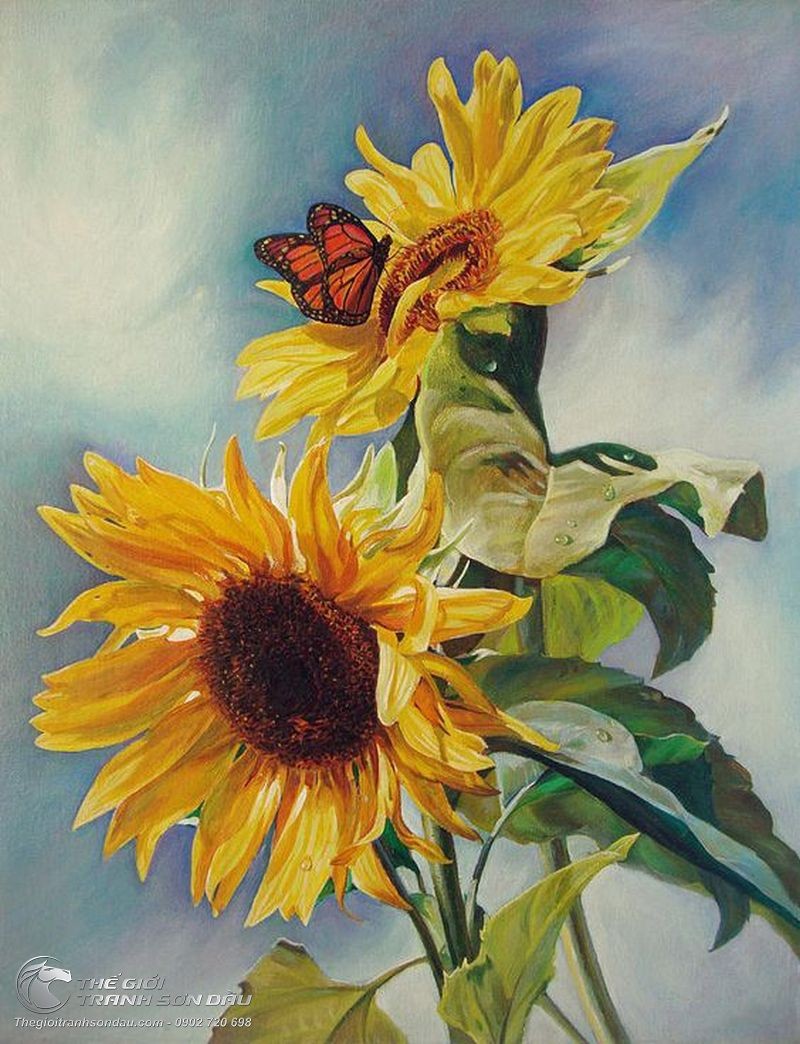Tranh Vẽ Bướm Đậu Trên Hoa Mặt Trời.jpg
