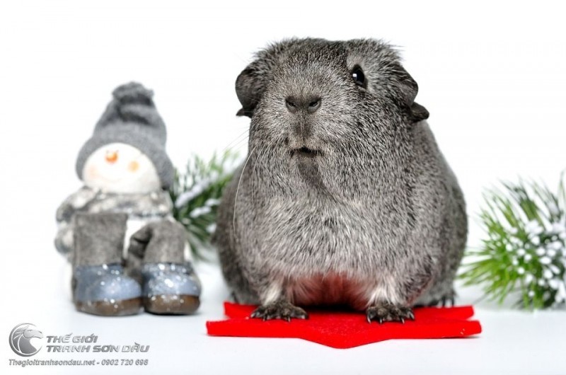 Tranh Vẽ Chú Chuột Hamster Xám Mắt Đen Tả Thực.jpg