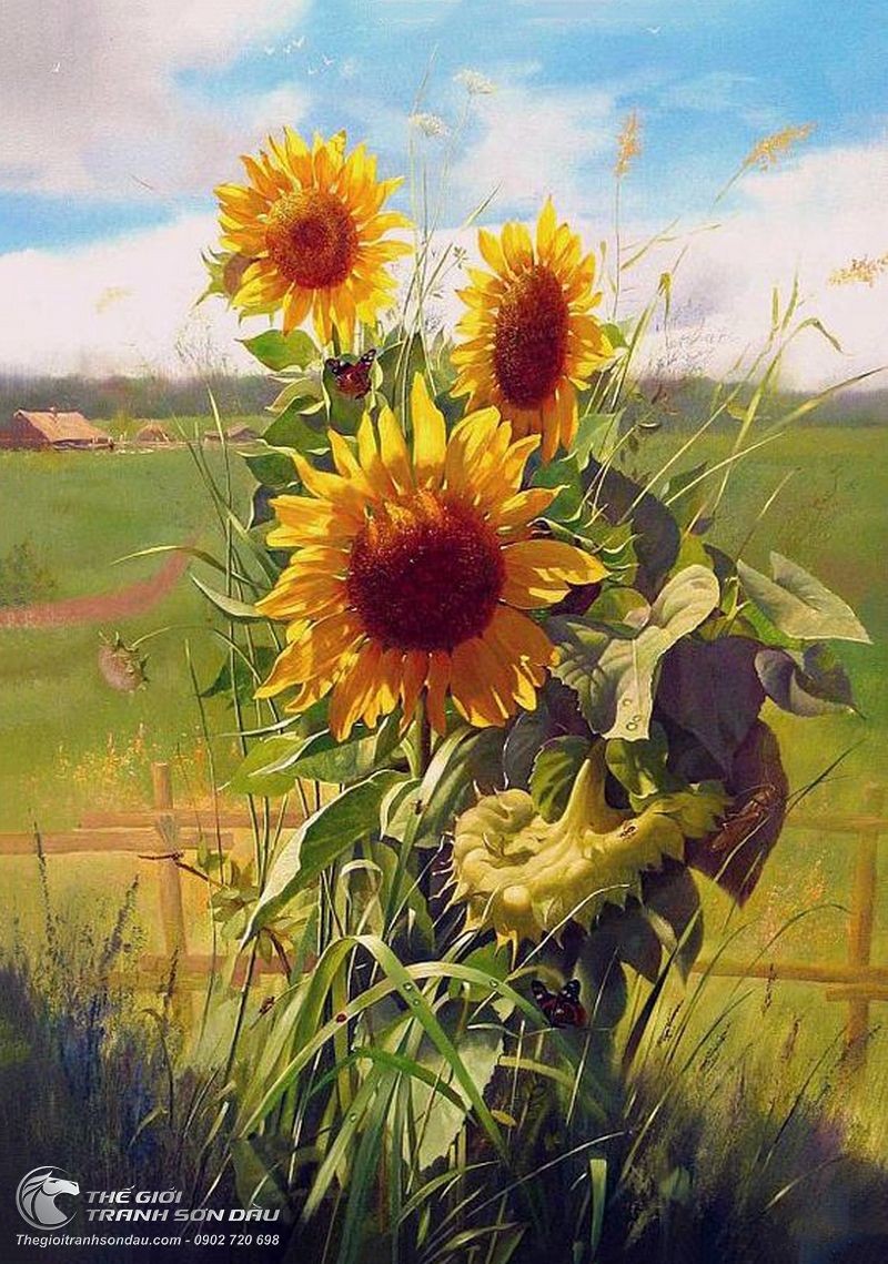 Tranh Vẽ Hoa Mặt Trời Trên Đồng Cỏ.jpg