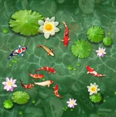 10 mẫu tranh cá chép 3d đẹp ngất ngây