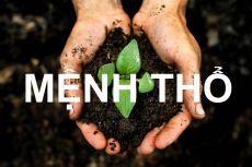 Mệnh Thổ treo tranh gì? Tư vấn chọn tranh cho người mệnh Thổ