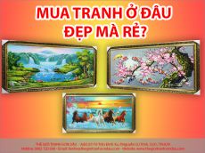 Mua tranh đẹp ở đâu? Địa chỉ bán tranh đẹp giá rẻ TPHCM