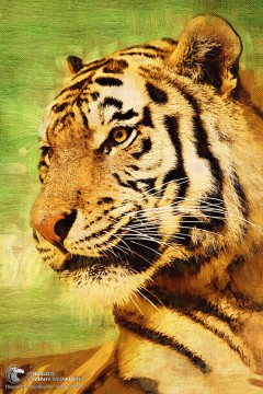 30+ Mẫu Tranh Phong Thủy Đẹp & Ý Nghĩa Nhất Cho Người Tuổi Bính Dần...