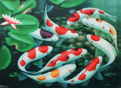 Giải đáp ý nghĩa tranh cá chép trong phong thủy