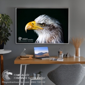 Tranh Đại Bàng Đầu Trắng Trên Nền Đen