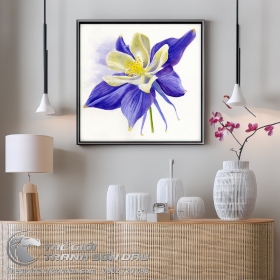 Tranh Hoa Lan Màu Trắng Và Tím