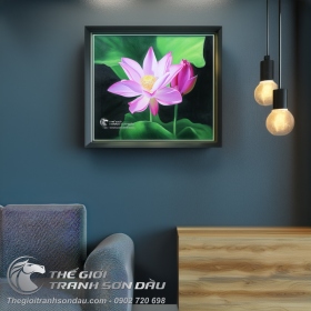 Tranh Hoa Sen Hồng Tinh Khôi