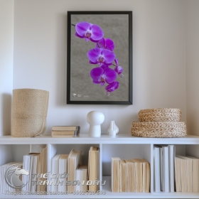 Tranh Nhánh Hoa Lan Tím Thanh Lệ