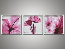 Tranh Sơn Dầu Hiện Đại Hoa Màu Hồng Bộ 3 Tấm