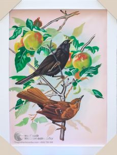 Tranh Sơn Dầu Vẽ Đôi Chim Đậu Trên Cành Táo