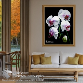 Tranh Tứ Đóa Hoa Lan Trắng