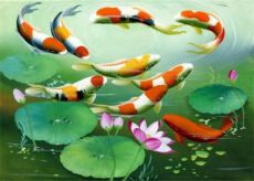 Ý Nghĩa Tranh Cửu Ngư Quần Hội