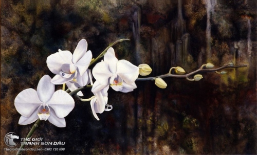 Tranh Ban Đóa Hoa Lan Trắng