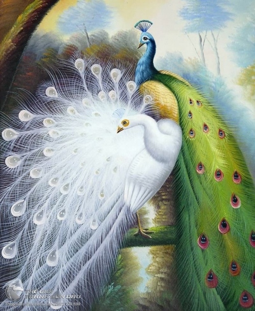 Tranh Chim Công Uyên Ương Đẹp