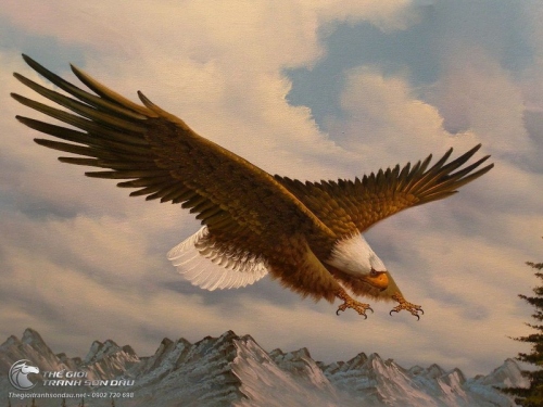 Tranh Đại Bàng Bay Qua Núi Tuyết Cao