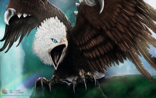 Tranh Đại Bàng Đầu Trắng Sải Cánh