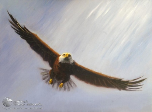 Tranh Đại Bàng Sải Cánh Bay Lượn