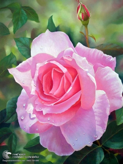 Tranh Hoa Hồng Tả Thực