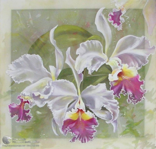 Tranh Hoa Lan Màu Trắng Đua Nở