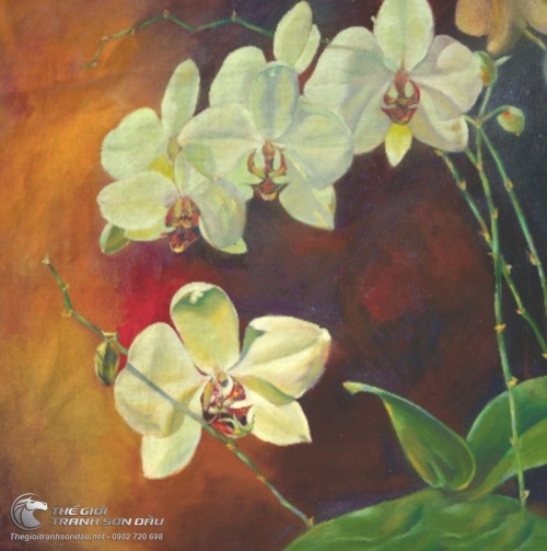 Tranh Hoa Lan Màu Trắng Khoe Sắc