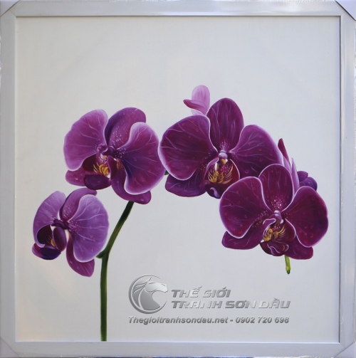 Tranh Hoa Lan Tím Tả Thực