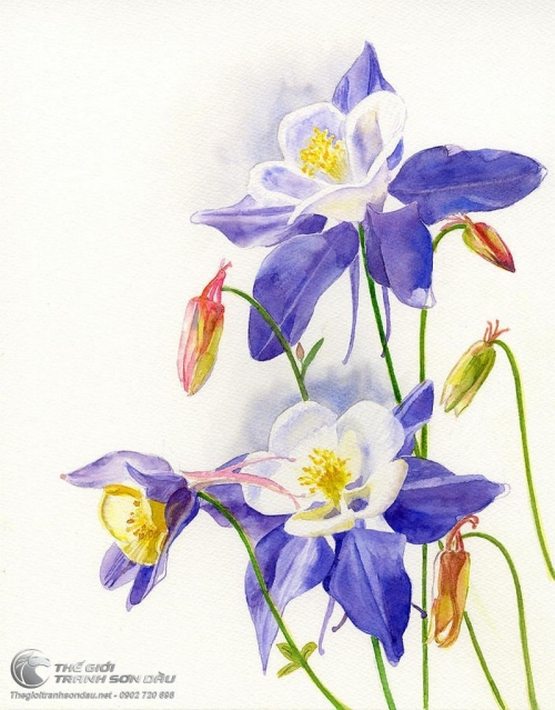 Tranh Hoa Lan Trên Nền Trắng