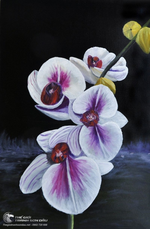 Tranh Hoa Lan Trong Đêm Tối