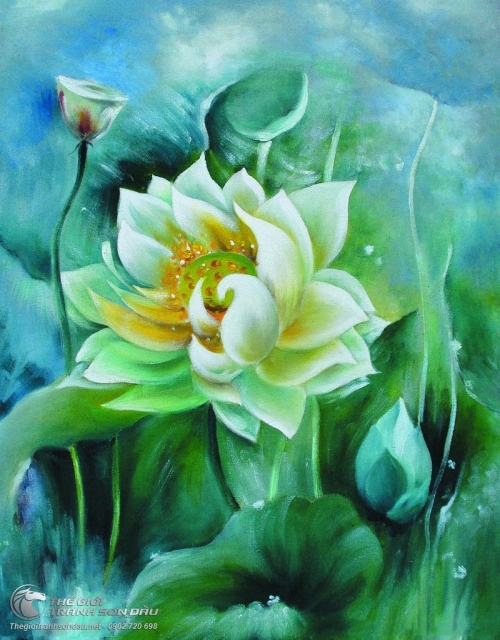 Tranh Hoa Sen Búp Sen Và Đài Sen