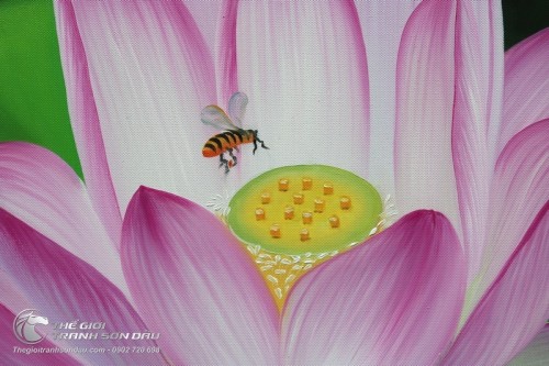 Tranh Hoa Sen Hồng Thanh Khiết