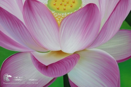 Tranh Hoa Sen Hồng Thanh Khiết