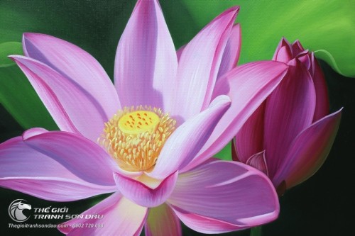 Tranh Hoa Sen Hồng Tinh Khôi