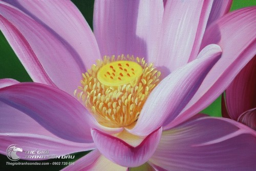 Tranh Hoa Sen Hồng Tinh Khôi