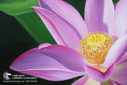 Tranh Hoa Sen Hồng Tinh Khôi