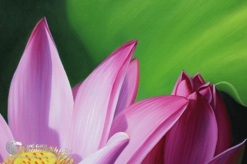 Tranh Hoa Sen Hồng Tinh Khôi